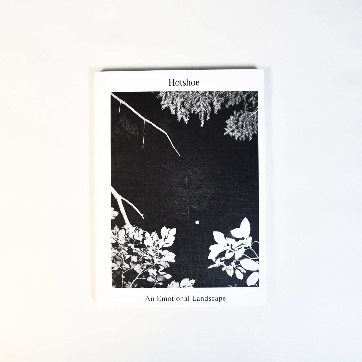 [Public Knowledge] 'Hotshoe' - An Emotional Landscape Issue 209. (2023)