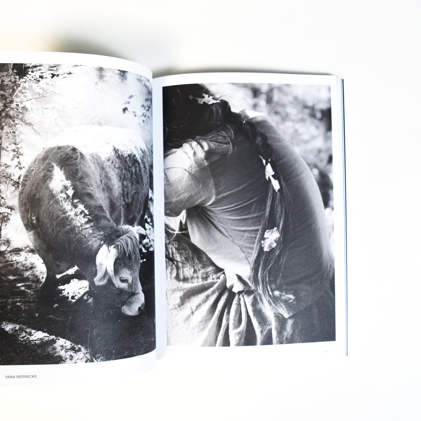 [Public Knowledge] 'Hotshoe' - An Emotional Landscape Issue 209. (2023)